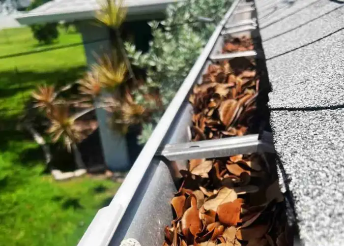 Sidney gutter cleaning home page